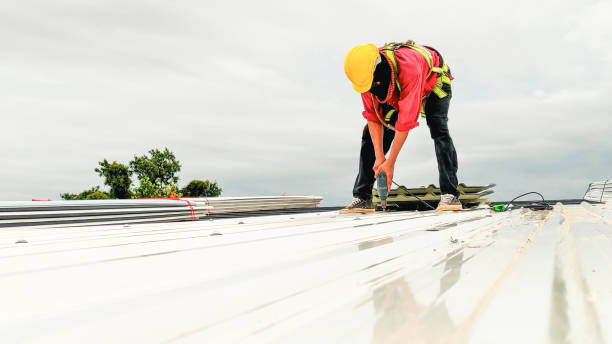 Best Roof Coating and Sealing  in Masonville, KY